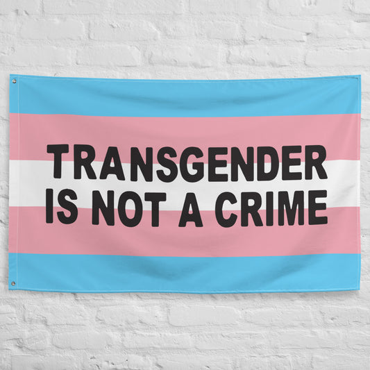 Not A Crime Trans Flag