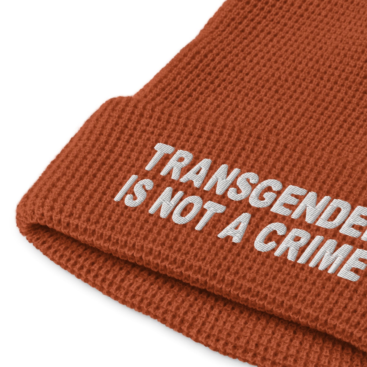 Not A Crime Beanie